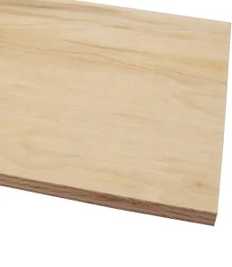 Maple Plywood